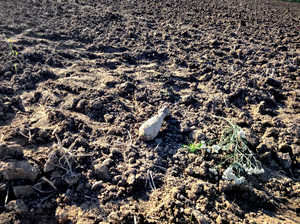 Policjanci zabezpieczali miejsce odnalezienia niewybuchu