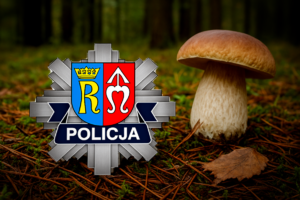 Wybierasz się na grzybobranie? Pamiętaj o zasadach bezpieczeństwa