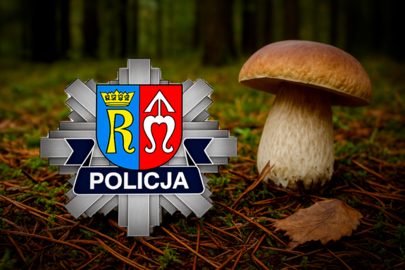 Wybierasz się na grzybobranie? Pamiętaj o zasadach bezpieczeństwa