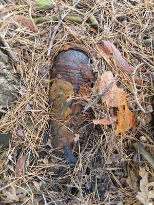 Policjanci zabezpieczali miejsce niewybuchu