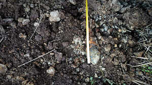 Policjanci zabezpieczali miejsce znalezienia niewybuchu w Ropczycach