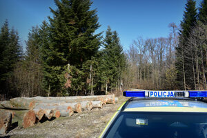 Wspólny patrol sędziszowskich dzielnicowych i policjantów ogniwa konnego Komendy Wojewódzkiej Policji w Rzeszowie