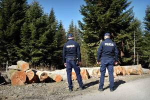 Wspólny patrol sędziszowskich dzielnicowych i policjantów ogniwa konnego Komendy Wojewódzkiej Policji w Rzeszowie