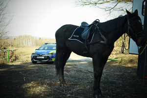 Wspólny patrol sędziszowskich dzielnicowych i policjantów ogniwa konnego Komendy Wojewódzkiej Policji w Rzeszowie