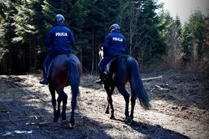 Wspólny patrol sędziszowskich dzielnicowych i policjantów ogniwa konnego Komendy Wojewódzkiej Policji w Rzeszowie