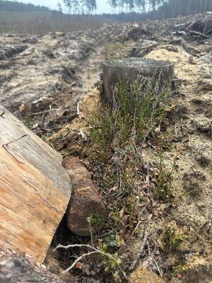 Policjanci zabezpieczali miejsce znalezienia pocisku artyleryjskiego
