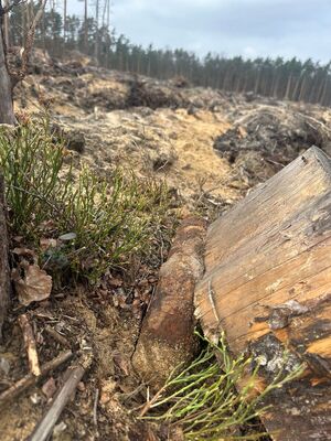 Policjanci zabezpieczali miejsce znalezienia pocisku artyleryjskiego