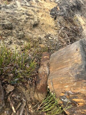 Policjanci zabezpieczali miejsce znalezienia pocisku artyleryjskiego