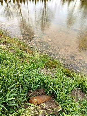 Policjanci zabezpieczali miejsce odnalezienia niewybuchu w Ostrowie